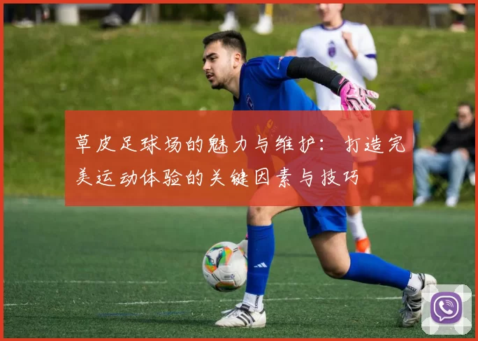 草皮足球场的魅力与维护：打造完美运动体验的关键因素与技巧