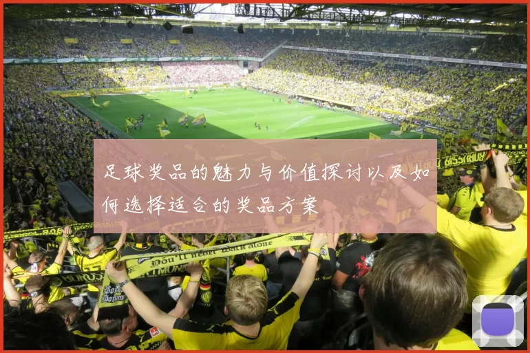 足球奖品的魅力与价值探讨以及如何选择适合的奖品方案