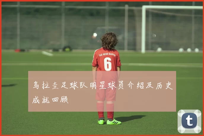 乌拉圭足球队明星球员介绍及历史成就回顾