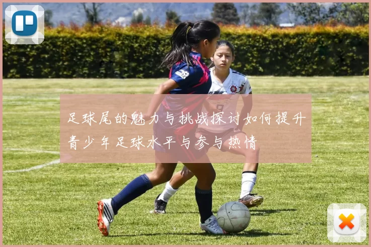 足球尾的魅力与挑战探讨如何提升青少年足球水平与参与热情