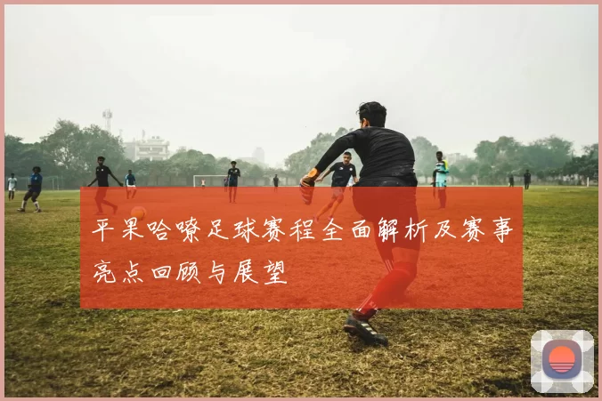 平果哈嘹足球赛程全面解析及赛事亮点回顾与展望